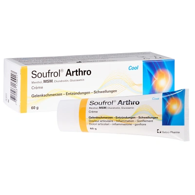 Soufrol Arthro FS TB 60g D web